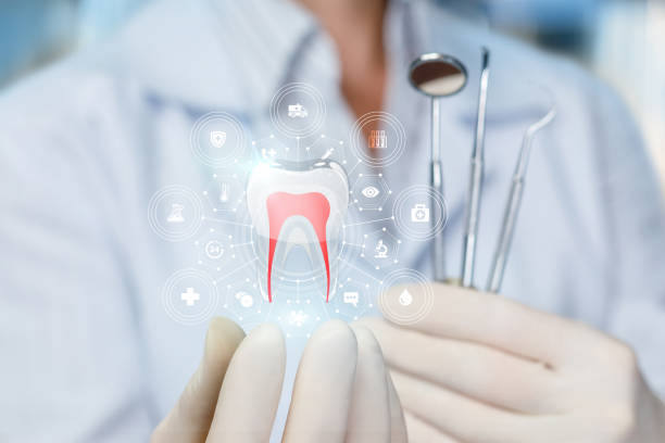 Best Traditional Braces  in Dland, MI